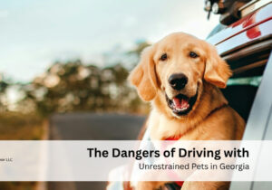 The Dangers of Driving with Unrestrained Pets in Georgia