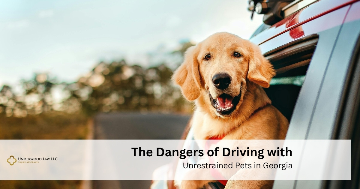 The Dangers of Driving with Unrestrained Pets in Georgia